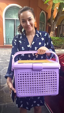 บริการรถรับ-ส่งพัสดุและสิ่งของทั่วประเทศ